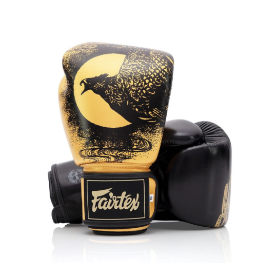 Fairtex Boxing Gloves 