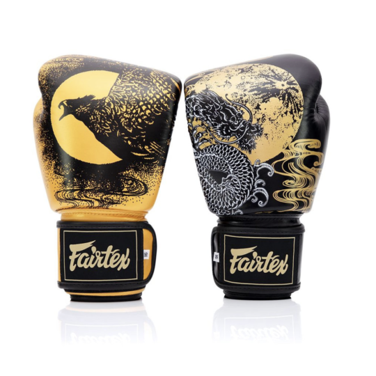Fairtex Boxing Gloves 